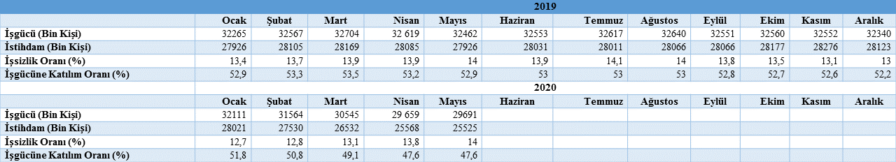 Temel İşgücü Göstergeleri