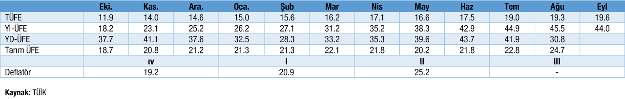 Enflasyon Oranları Tablosu Eylül 2021