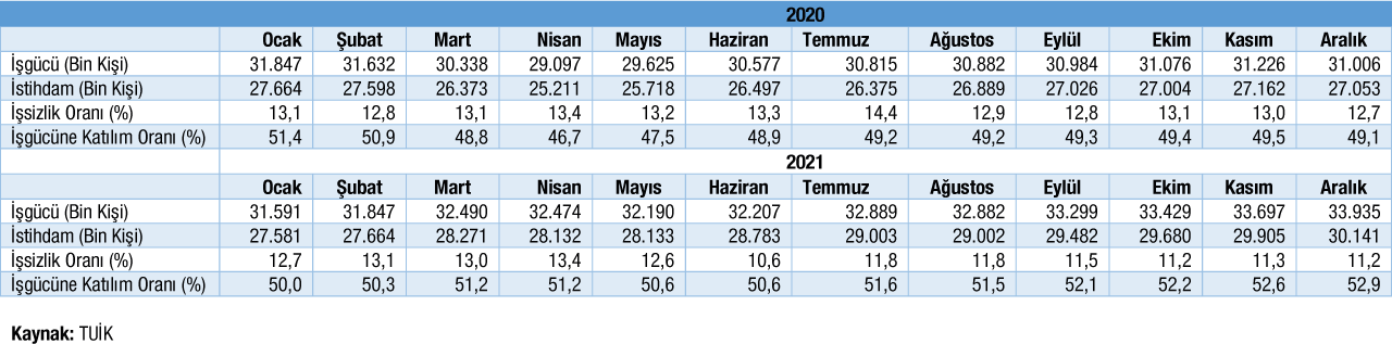 Temel Isgucu Gosterge Tablo Aralik 2021