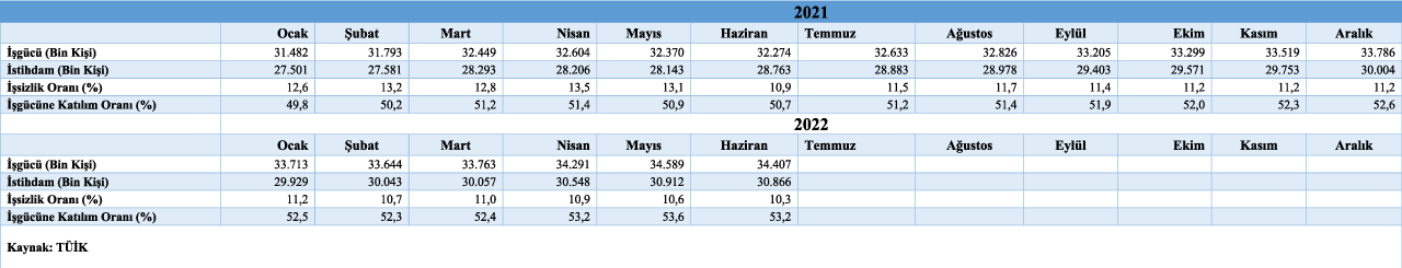 Temel İşgücü Göstergeleri Tablosu 10 Ağustos 2022