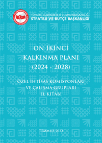 On İkinci Kalkınma Planı (2024-2028) Özel İhtisas Komisyonları ve Çalışma Grupları El Kitabı