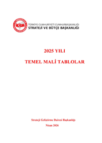 2025 Yılı Temel Mali Tablolar